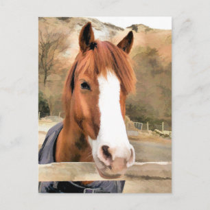 CHESTNUT HORSE POSTCARD