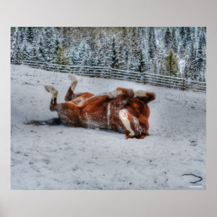 Chestnut Horse Rolling in Winter Snow Photo Poster