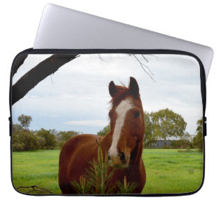 Chestnut Horse Sniffing A Banksia Tree, Laptop Sleeve