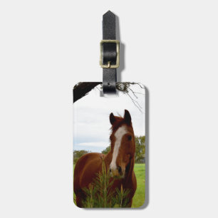 Chestnut Horse Sniffing A Banksia Tree, Luggage Tag