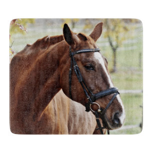 Chestnut Horse with Blaze, Bridle, in Pasture Cutting Board