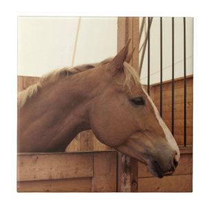 Chestnut Horse with Blaze in Stall Tile