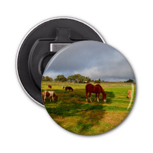 Chestnut Horse With Shetlands, Bottle Opener