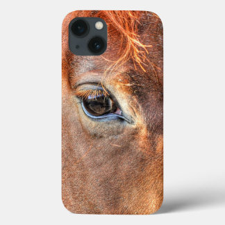 Chestnut Horse's Eye Equine Photo IV iPhone 13 Case