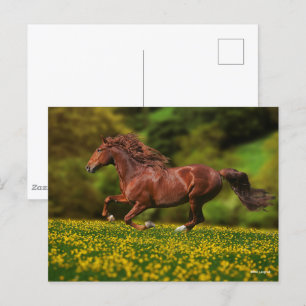 Chestnut Lusitano Running In Buttercups Postcard