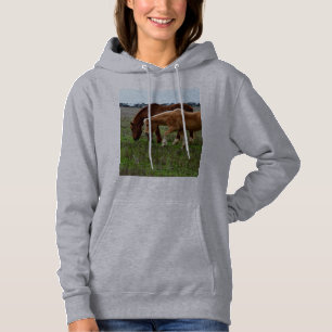 Chestnut Mare And Palomino Foal, Hoodie