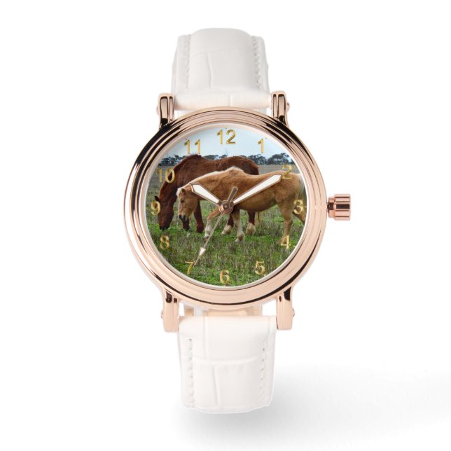 Chestnut Mare And Palomino Foal, Watch (Front)