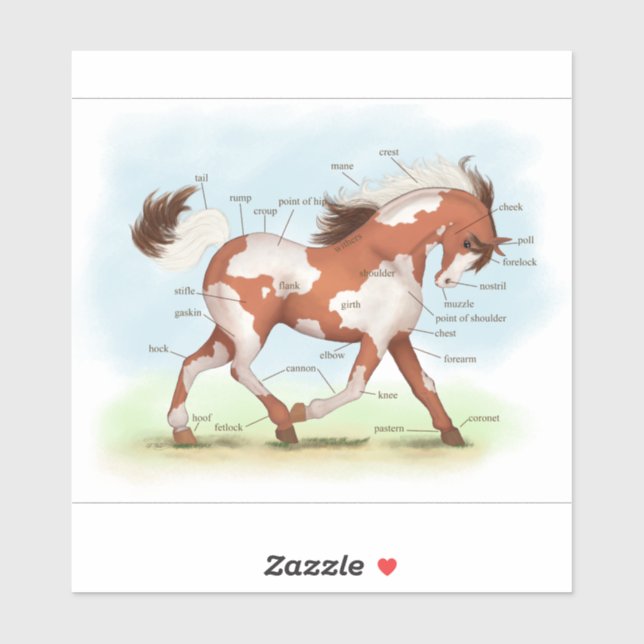 Chestnut Overo Skewbald Horse Anatomy Chart (Sheet)