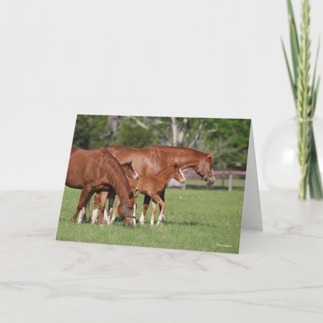Chestnut Quarter Horse Mares and Foals Card (Front)