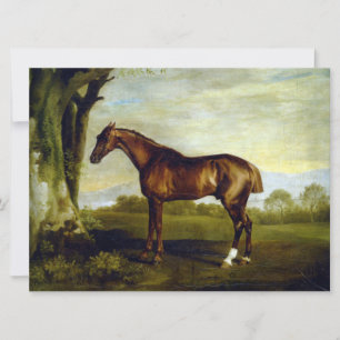 Chestnut Racehorse in a Landscape (George Stubbs) Card