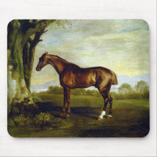 Chestnut Racehorse in a Landscape (George Stubbs) Mouse Mat