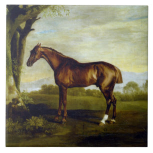 Chestnut Racehorse in a Landscape (George Stubbs) Tile