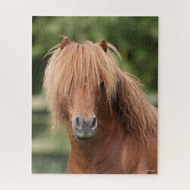 Chestnut Shetland Pony Stallion headshot Jigsaw Puzzle (Vertical)