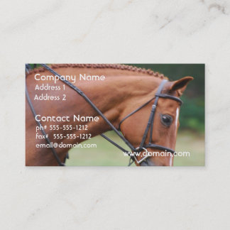 Chestnut Show Horse Business Cards