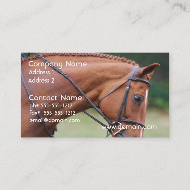 Chestnut Show Horse Business Cards (Front)