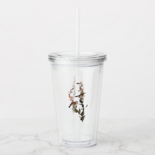 Chestnut-Sided Warbler Audubon Bird on Wildflower Acrylic Tumbler
