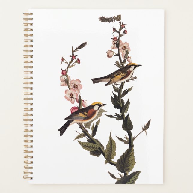 Chestnut-Sided Warbler Audubon Bird on Wildflower Planner (Front)