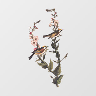 Chestnut-Sided Warbler Audubon Bird on Wildflower Window Cling