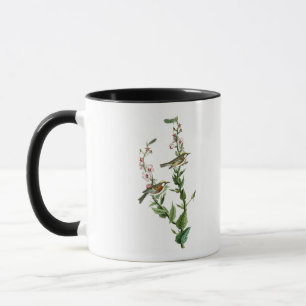 Chestnut-sided Warbler Audubon Birds of America Mug