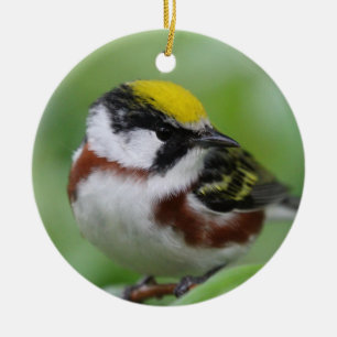 Chestnut-sided warbler ceramic tree decoration