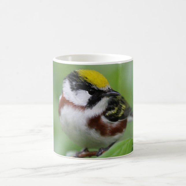 Chestnut-Sided Warbler Coffee Mug (Center)