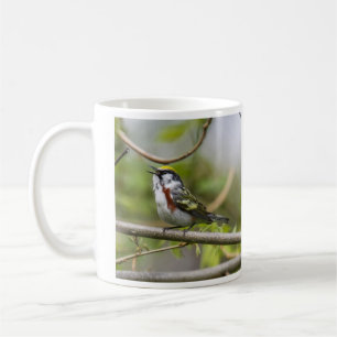 Chestnut-sided Warbler Coffee Mug