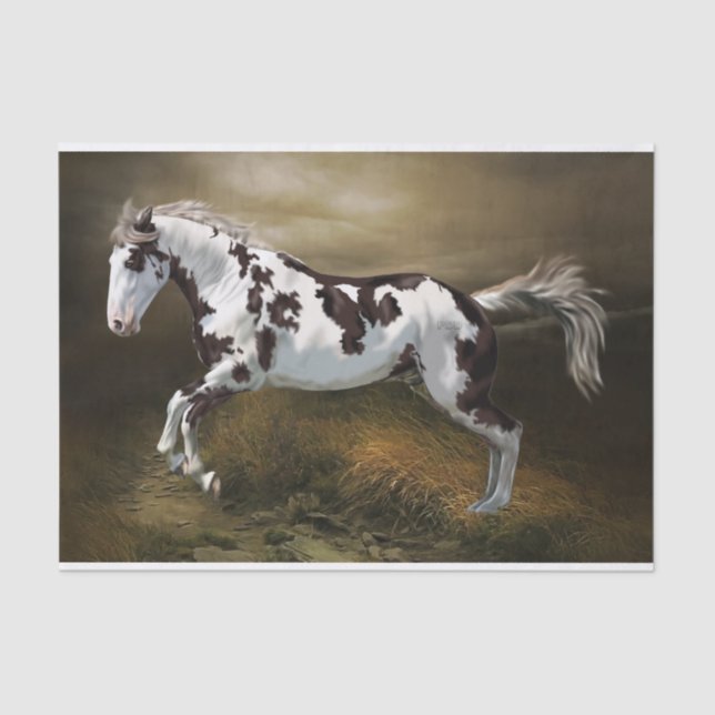 Chestnut Splash Frame Tovero Paint Horse Tissue Paper (Front)