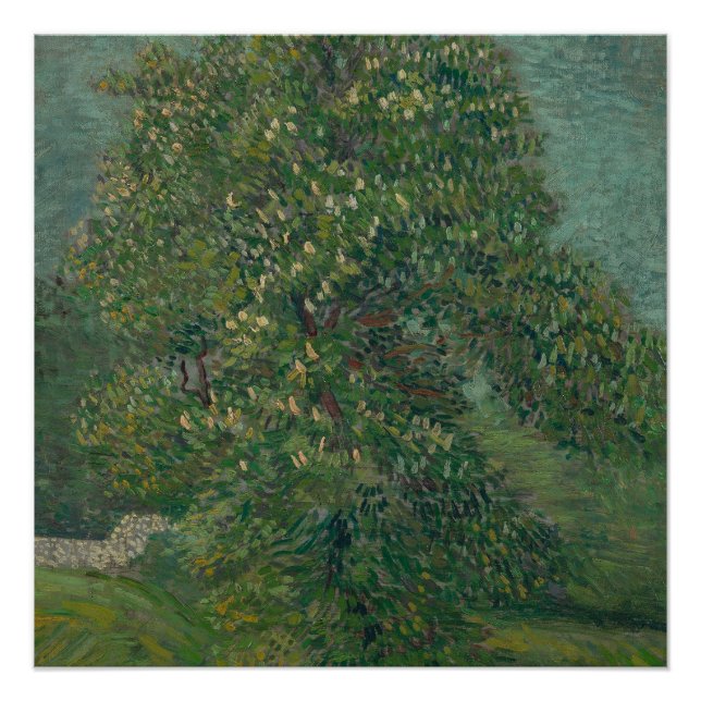 chestnut tree in bloom  poster (Front)