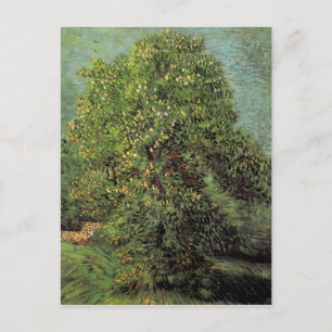 Chestnut Tree in Blossom, Vincent van Gogh Postcard