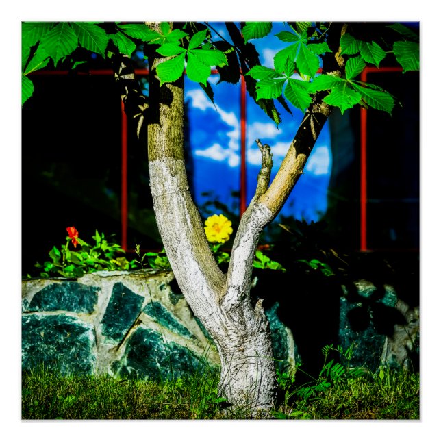 Chestnut Tree Poster (Front)