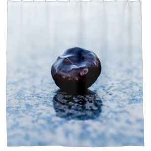 Chestnut Zen Shower Curtain