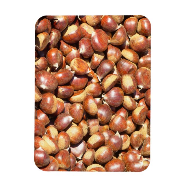 chestnuts-211079  chestnuts sweet chestnuts delici magnet (Vertical)