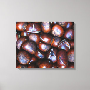 Chestnuts Canvas Print