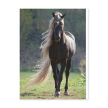 Cheval