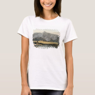 Chevalpettore, plate V from Part 6 of 'Oriental Sc T-Shirt
