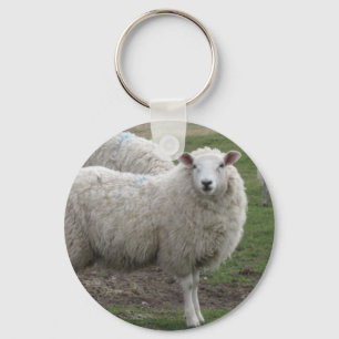 Cheviot sheep key ring