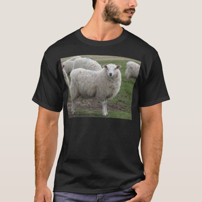 Cheviot sheep T-Shirt (Front)