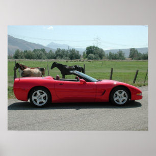 Chevrolet Corvette Convertible C5 Poster