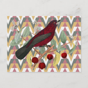 Chevron and Vintage Red Bird Postcard