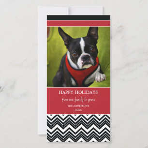 CHEVRON STRIPES   HOLIDAY PHOTO CARD