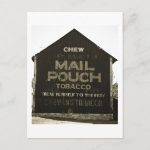 Chew Mail Pouch Tobacco - Antique Photo Finish Postcard