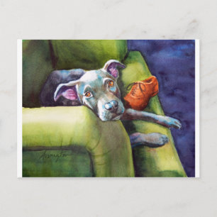 Chew Shoe, Terrier on the Couch Postcard