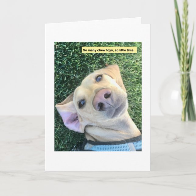 Chew Toys MillieGram Card (Front)