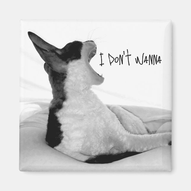 Chewy sez... I don't wanna.  Magnet (Front)