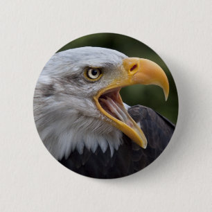 Cheyenne Badge