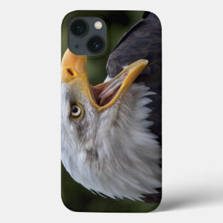 Cheyenne iPad Case