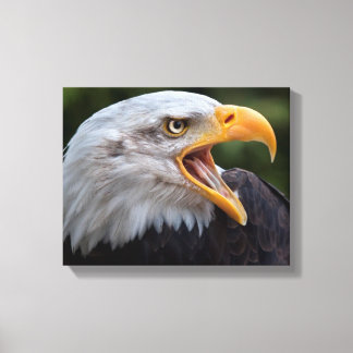 Cheyenne Wrapped Canvas Print