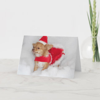 chi Christmas card