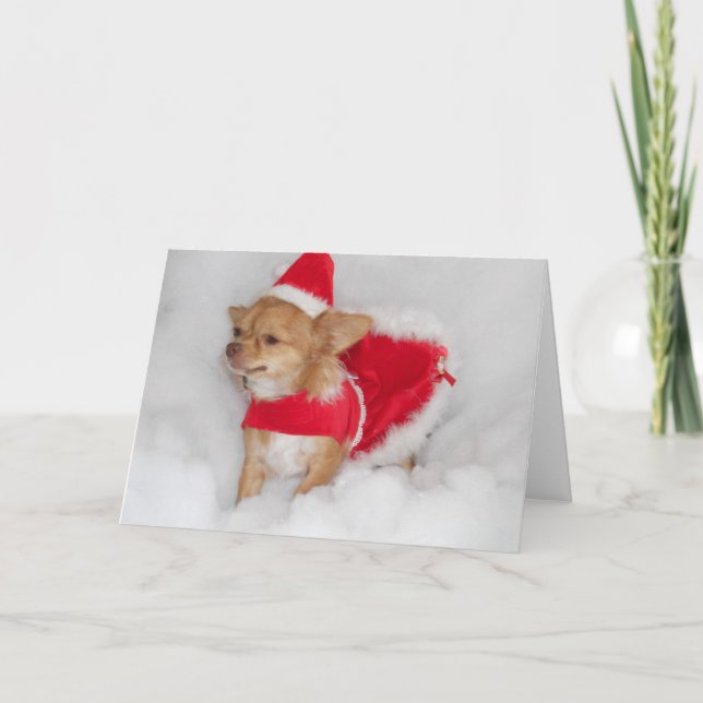 chi Christmas card (Front)