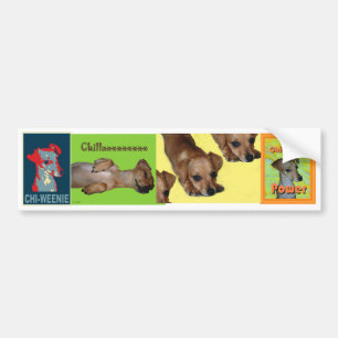 Chi-weenie Bumper Sticker